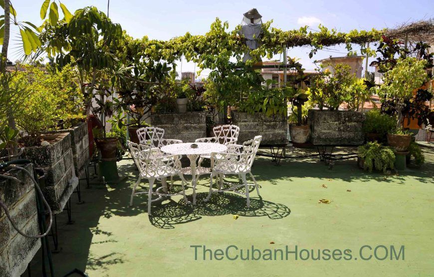 Casa de Ana en Miramar, 4 habitaciones, jardines y patio
