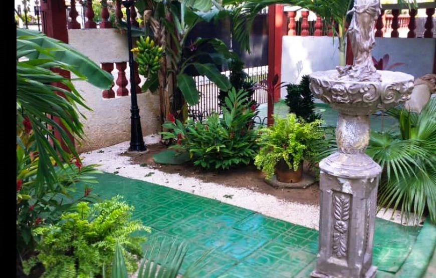 Hostal Rincón Habanero in Miramar, 5 rooms, pool and garden