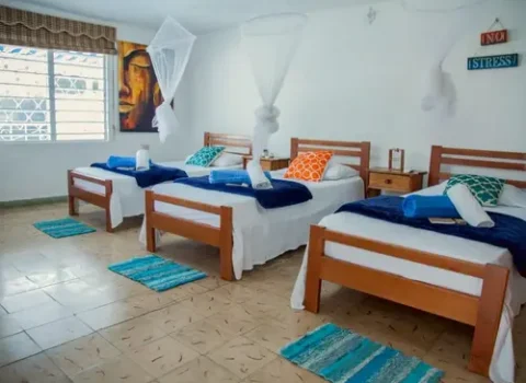 hostal-pimienta-boca-ciega-habitacion-2